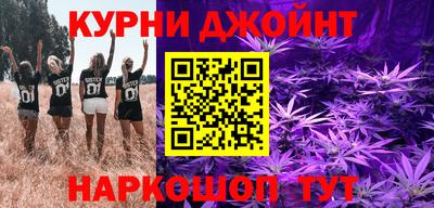 стафф Новокубанск