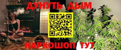 стафф Новокубанск