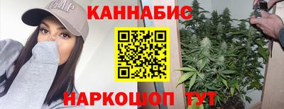 стафф Новокубанск