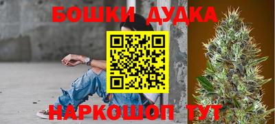 стафф Новокубанск
