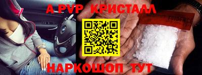 стафф Новокубанск