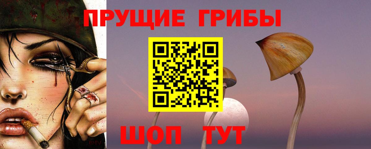 Галлюциногенные грибы Magic Shrooms Юрга